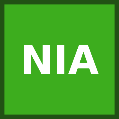 Nigeria Info 95.1 Abuja channel logo